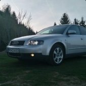 ECCO88
